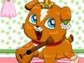 Joc Ruleta pentru animale de companie  on-line