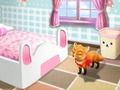 Joc Mici Fox orândui Camera  on-line