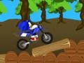 Joc Cursa cu Sonic  on-line
