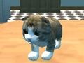 Joc Simulator de Cat: Kitty Craft!  on-line