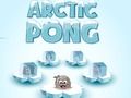 Joc Arctic Pong on-line