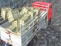 Joc Șofer de camion șofer  on-line