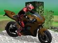 Joc Procesele de biciclete: Wasteland  on-line