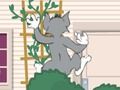 Joc Tom și Jerry: Wasserbomben Wahnsinn  on-line