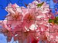 Joc Jigsaw Puzzle: Flori  on-line