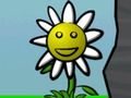 Joc Puterea florii  on-line