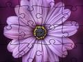 Joc Puzzle -ul jigsaw vara on-line