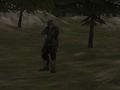 Joc Agenția FPS: Forest  on-line