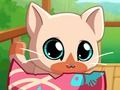 Joc Pisicuta mea pentru animale de companie Kitty Cat  on-line