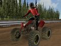 Joc Curse de motociclete quad  on-line