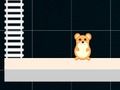 Joc Hamster inteligent: Par și impar  on-line