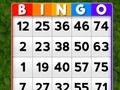Joc Bingo on-line