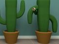 Joc Cactus Cub on-line