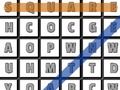 Joc Formatele de căutare a cuvintelor  on-line