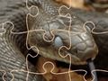 Joc Șerpi misterioși: puzzle  on-line