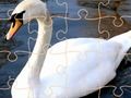 Joc Swan Puzzle Challenge on-line