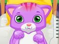 Joc Doctorul Cat  on-line
