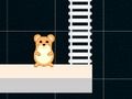 Joc Ora de hamster inteligent  on-line