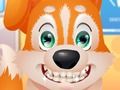Joc Dentist drăguț al cățelușului  on-line