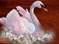 Joc Puzzle Păsări Dragoste  on-line