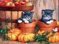 Joc Pictura de Halloween  on-line