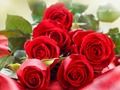 Joc Trandafiri rosii  on-line