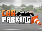 Joc Parcare auto Pro  on-line