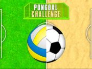Joc Provocarea PongGol  on-line