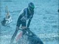 Joc Motor Boat Racing 3D  on-line