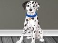 Joc Veterinar Doctor Escape 2  on-line