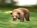 Joc Vânătorul de animale Safari  on-line