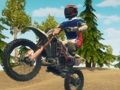 Joc Bike Dirt Bike Enduro Racing  on-line