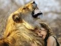 Joc Jigsaw Lion and Girl  on-line