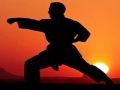 Joc Războinici de apus de karate on-line