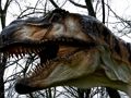 Joc T-Rex Dinosaur Jigsaw on-line