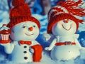 Joc Башеннный боксёр  on-line