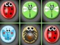 Joc Meci de bug-uri  on-line