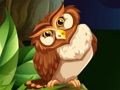 Joc Shooter Owl on-line