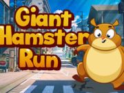 Joc Hamster uriaș alergat on-line