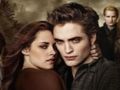 Joc Colecția Twilight Jigsaw Puzzle  on-line