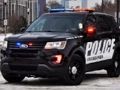Joc Puzzle cu mașina de poliție  on-line