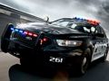 Joc Colorarea mașinilor de poliție on-line Joc Colorarea mașinilor de poliție on-line