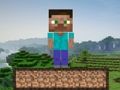 Joc Supraviețuirea Minecraft  on-line