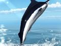 Joc Pescuitul pe mare Azure on-line
