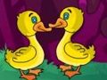 Joc Evadare din Duck Land  on-line
