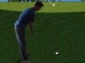 Joc Flash Golf 3D  on-line