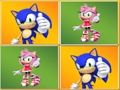 Joc Meciul Sonic Memory Up  on-line