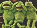 Joc Broasca Kermit Jigsaw  on-line
