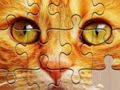 Joc Puzzle-uri nelimitate  on-line
