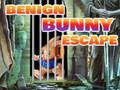 Joc Evadare Benign Bunny  on-line